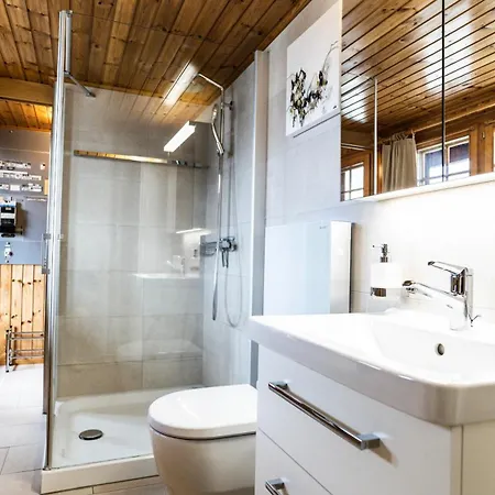 Ferienwohnung In Historischem Walliserhaus, Törbel